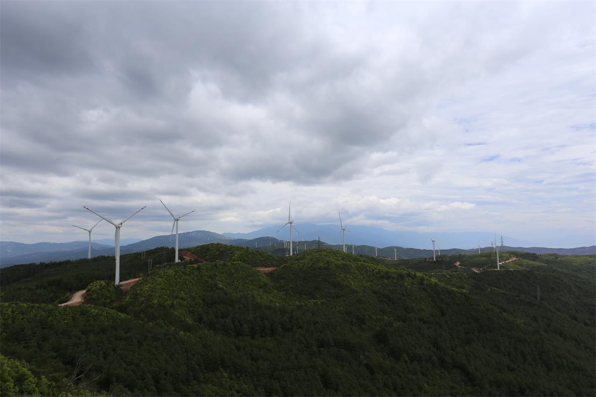 五子坡風(fēng)場全景照片(2) 323.jpg